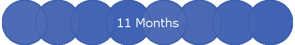 11 Months