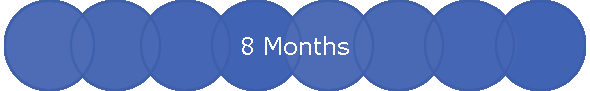 8 Months