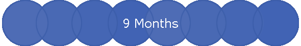 9 Months